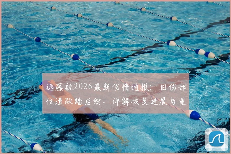 远藤航2026最新伤情通报：旧伤部位遭踩踏后续，详解恢复进展与重返赛场展望