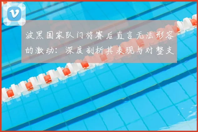 波黑国家队门将赛后直言无法形容的激动：深度剖析其表现与对整支球队的称赞